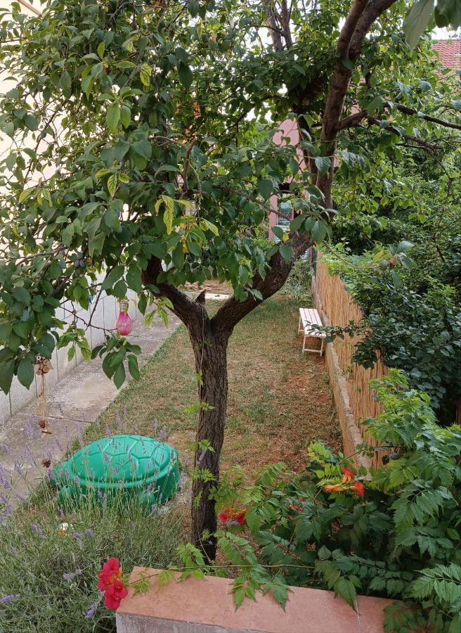 Appartamento Apartman Mala Cici Zara Esterno foto